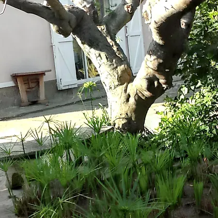 Confortable A Avec Terrasse *