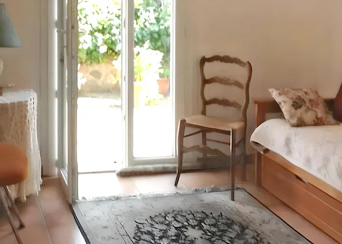 Confortable A Avec Terrasse Apartment Hyeres