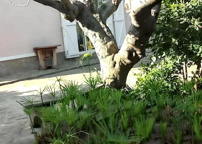 Confortable A Avec Terrasse *